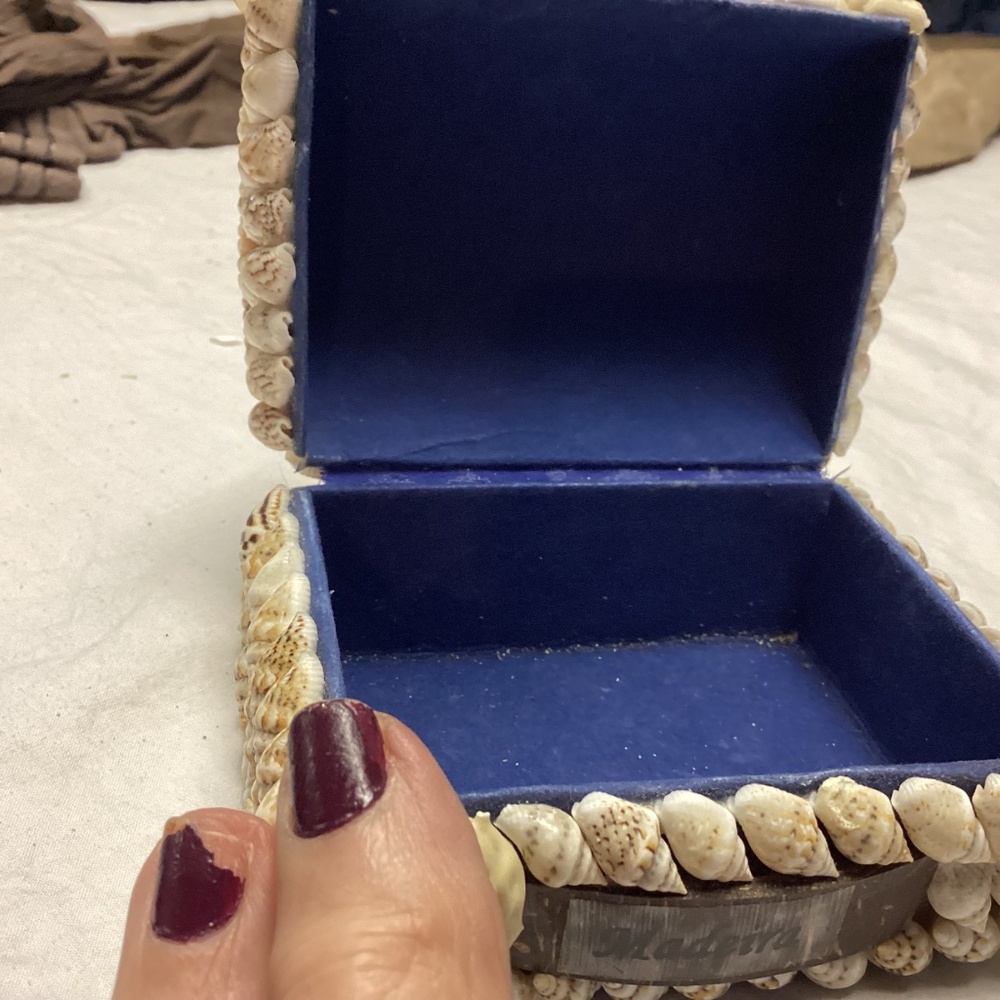 Sea shell box. Trinkets jewelry. - Picture 3 of 9